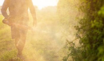Les pesticides : notre problème à tous