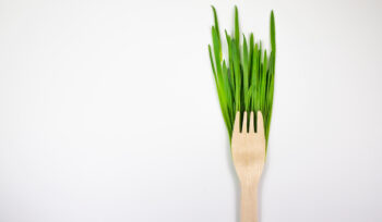 Projet alimentaire territorial